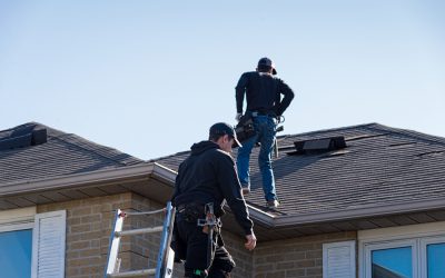 Roof Maintenance: DIY vs. Hiring a Professional