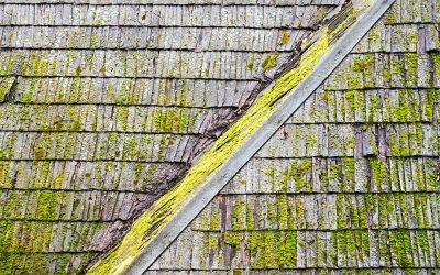 Roof Cleaning Solutions: How Often Should You Clean Your Conroe Roof?