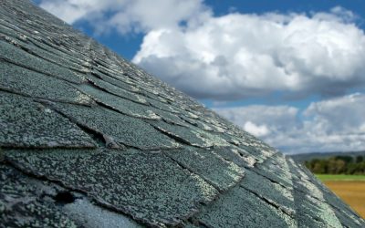 The Telltale Signs You Need a New Roof