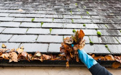 3 Roof Cleaning Tips to Use Year-Round