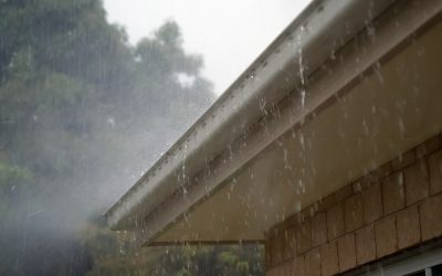 Why Choose Professional Gutter Cleaning?