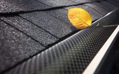 Are gutters really necessary?