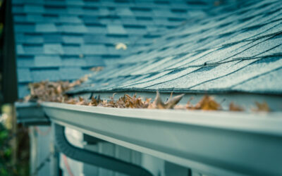 Gutters do more than look pretty as they line our roofs, or do they?