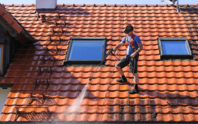 Don’t risk falling off your roof when it needs cleaning! It’s safer to let someone else do the job.