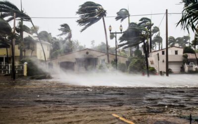 What do you do when a severe storm blows in off the gulf this summer into our Houston area and destroys your roof?